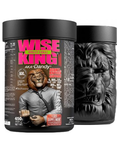 WISE KING 2.0 Join Support Zoomad Labs - 450 gr