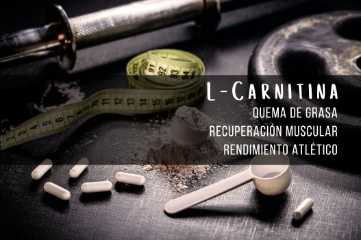 Potencia tu Entrenamiento con L-Carnitina: El Combustible para tu Cuerpo
