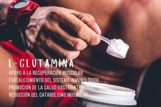 Descubre los Beneficios de la L-Glutamina: El Suplemento Esencial para tu Recuperación Muscular