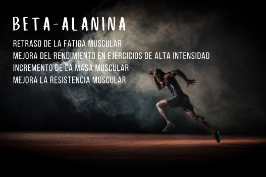 Impulsa tu Rendimiento Deportivo con Beta-Alanina: Todo lo que Necesitas Saber