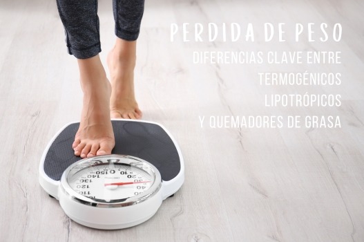 Entendiendo los Suplementos para la Pérdida de Peso: Termogénicos, Lipotrópicos y Quemadores de Grasa